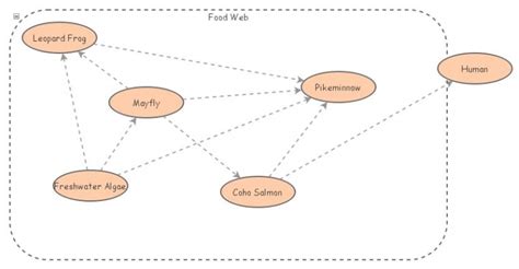 Salmon Food Web Insight Maker