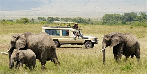 Afrika Safari Urlaub 2024 Reisen Mit Deutschsprachigen Guides Buchen