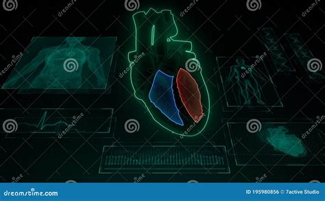 Function of Right Ventricle and Left Ventricle of Human Heart Stock ...