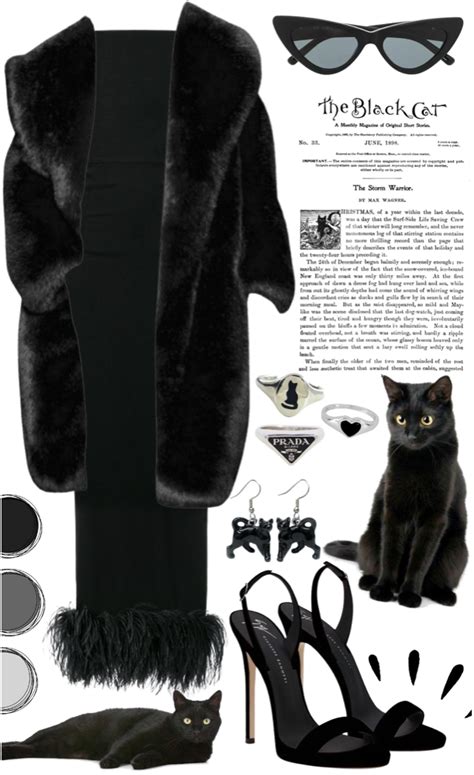 black cat Outfit | ShopLook