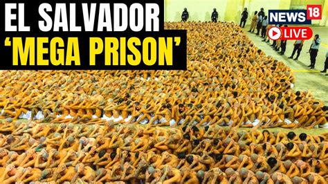 First Inmates Moved To El Salvador S New Mega Prison Us News