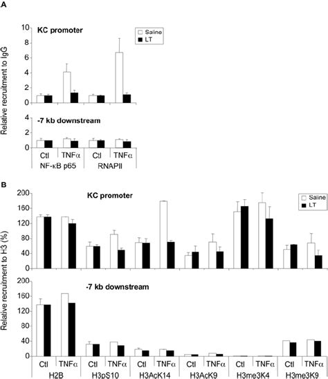 LT Impairs KC Promoter Accessibility MLE 15 Cells Were Incubated For 1