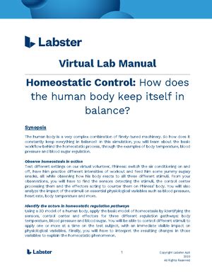 Lab Report Smooth Muscle Learn How Your Gut Contracts Name Taniah