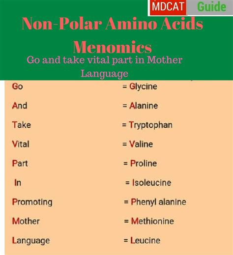 Non-essential Amino Acids Mnemonic - fasrlux