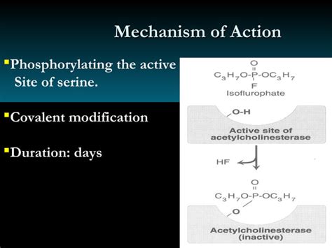 Acetylcholinesterase inhibitors : Dr Rahul Kunkulol | PPT