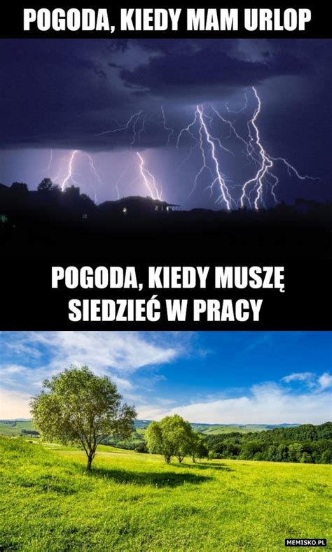 Śmieszne filmy zabawne koty i psy filmiki WTF i Fail pranki Tylko