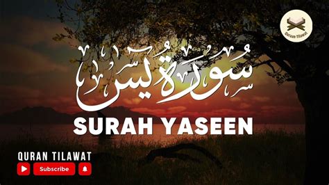 No Ads Surah Yasin Yaseen With Urdu Translation Beautiful Voice Hindi