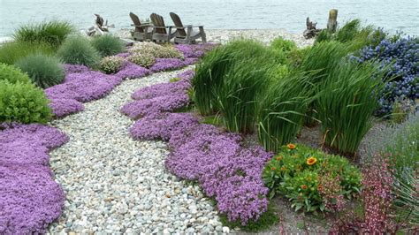 Coan Waterfront Landscape Camano Island Wa Traditional Landscape Seattle By Lankford