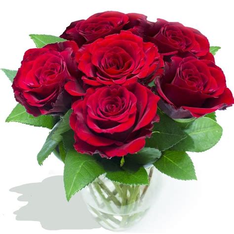 Six Stolen Kisses Bouquet Red