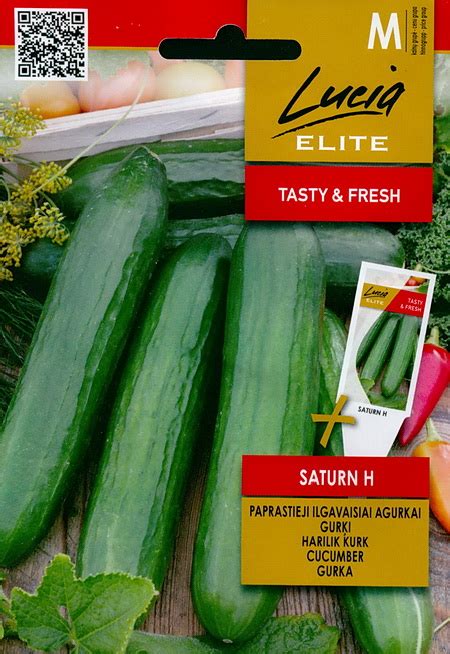 Salad Cucumber Saturn F Buy Seeds