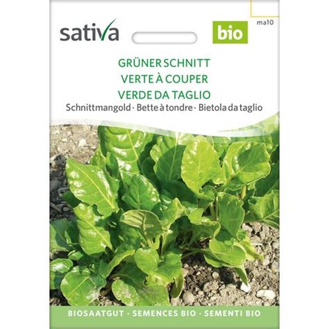 Sativa Bette Bio Verte Couper Sachet Bloomling France