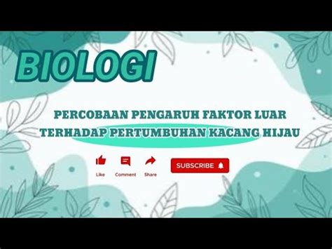 Pengamatan Pertumbuhan Kacang Hijau Kelompok 7 Tugas Biologi