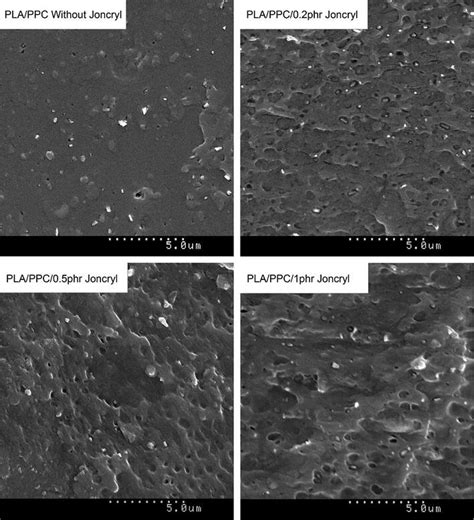 Sem Micrographs Of The Surfaces Of The Cryo Fractured Pla Ppc Blend