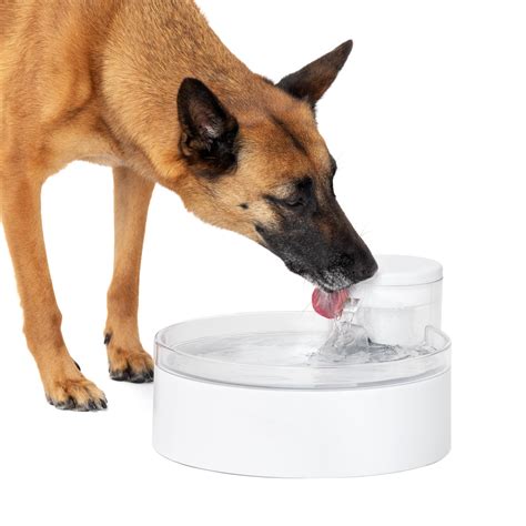 PetSafe Outlast Pumpless Dog Water Fountain 128 oz – Indoor Water