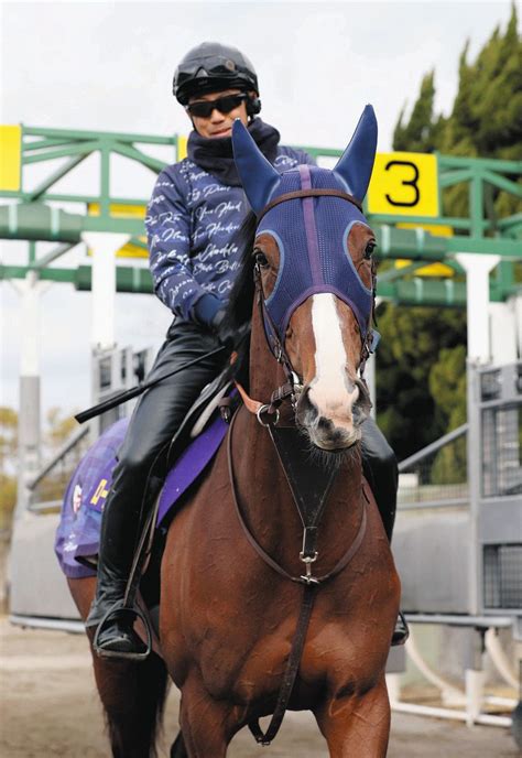 【大阪杯】ローシャムパークは1枠2番 田中博師「ジョッキー（戸崎）には中山の内枠で勝ってもらったこともあります。お任せです」：中日スポーツ