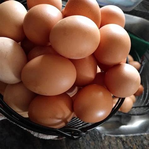 Fresh Chicken Table Eggs Fertilized Hatching Eggs White And Brown