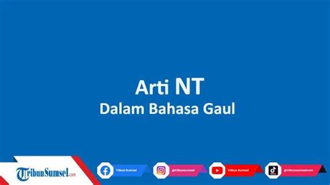 Apa Arti Nt Dalam Bahasa Gaul Ini Maksud Dan Contohnya Kata Populer