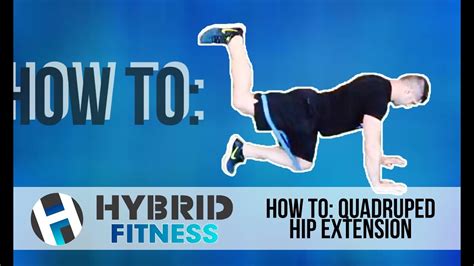 How To Quadruped Hip Extension Glute Builder Youtube