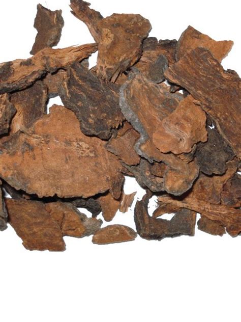 Fo Ti Root Polygonum Multiflorum Cured Root Extract Botanical