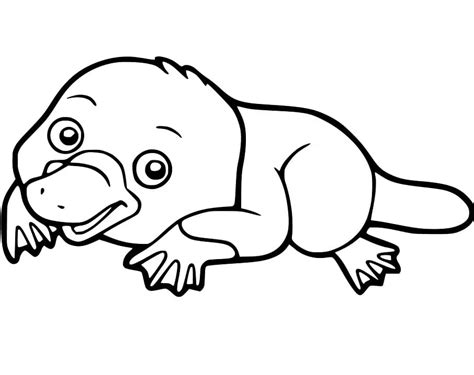 Printable Platypus Coloring Pages Coloring Cool