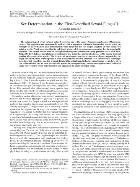 Pdf Sex Determination In The First Described Sexual Fungus