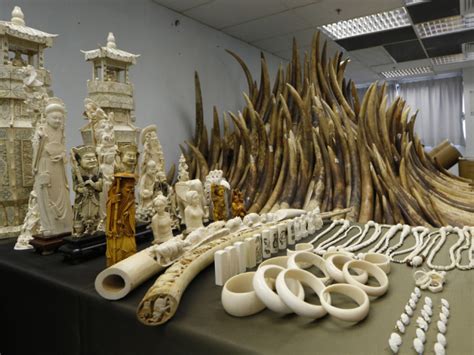 Making Sense Of Ivory Smuggling At Entebbe International Airport