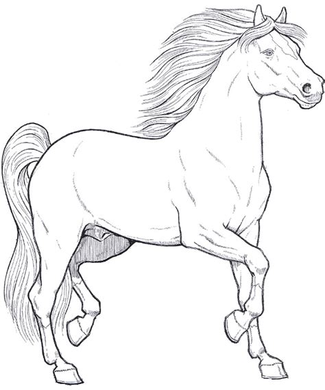 Disegno Da Colorare Il Cavallo Disegni Mammafelice Pagina Da Colorare