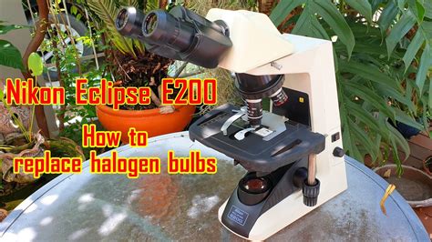 Nikon Eclipse E200 Microscope How To Replace Halogen Bulbs Failed Light Bulb No Light Youtube