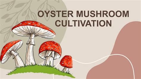 Oyster Mushroom Cultivation12pptx