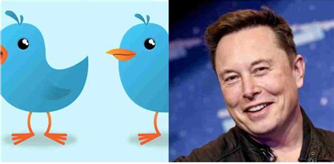 Sembra Uno Scherzo Elon Musk Compra Twitter Per Miliardi Di Dollari