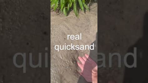 I Found Real Quicksand Youtube