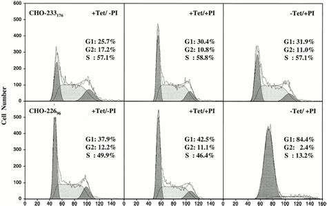 FACS Mediated Cell Cycle Analysis Of CHO 233176 And CHO 22696 Both