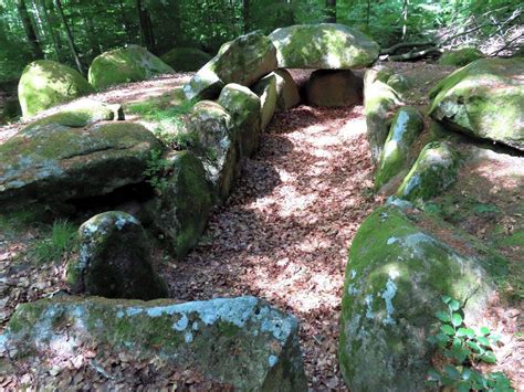 Unser Tipp F R Den Sonntagsausflug Exkursion In Den Schieringer Forst