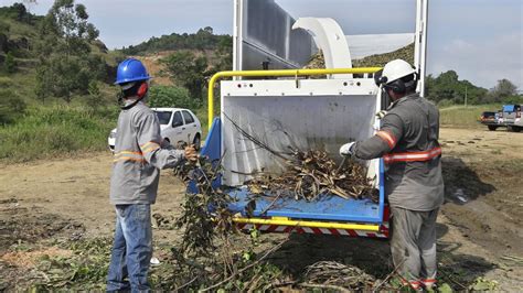 As melhores práticas para a gestão de resíduos orgânicos verdes para