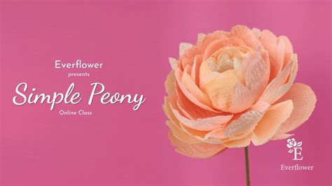 How To Make A Beautiful Crepe Paper Peony In 2024 Paper Peonies