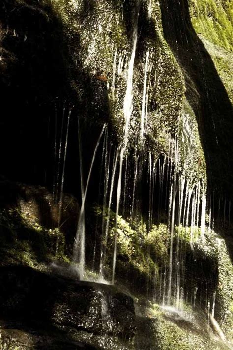 Lilydale Falls, Tasmania #Lilydale #Tasmania #WaterFalls | Tasmania ...