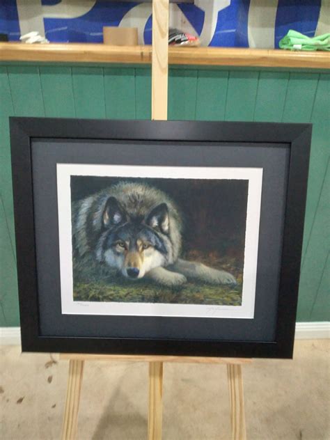 Framed Hand Signed Wolf Print - Greeny's Garden Art