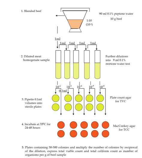 Experimental Protocol For Determination Of Total Viable Count And Total