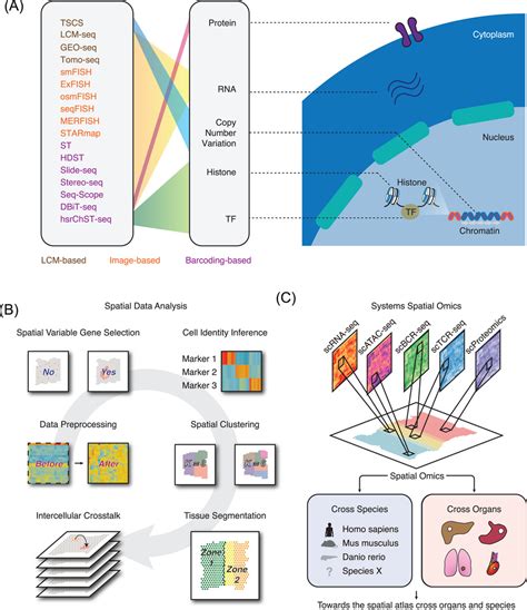 Spatial Omics Navigating To The Golden Era Of Cancer Research Wu 2022 Clinical And