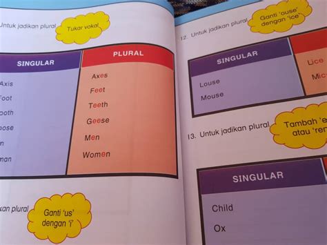 Singular Dan Plural Nouns Mudah Dipahami Englishcoo Hot Sex Picture