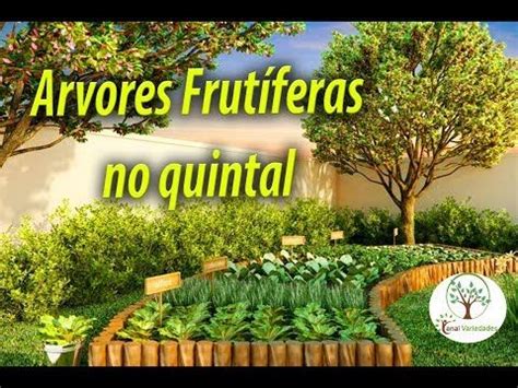 PLANTAS FRUTÍFERAS EM POUCO ESPAÇO VAMOS PLANTAR Plantar em Casa