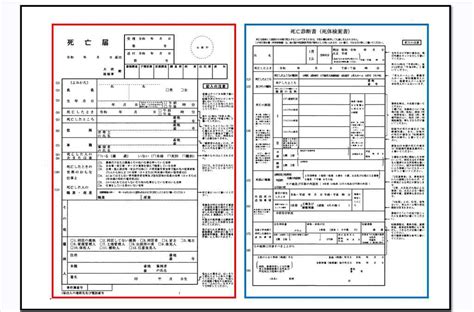 死亡診断書と死亡届の手続き お葬式のしおん