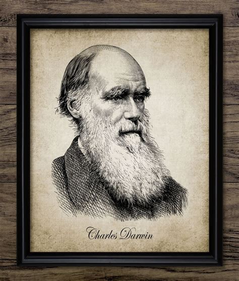 Charles Darwin Portrait Print Darwin Illustration Origin