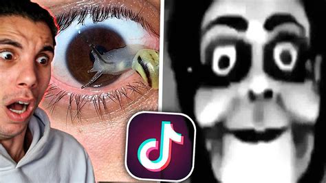 Datos Y Videos Perturbadores De Tiktok Muy Turbio Youtube