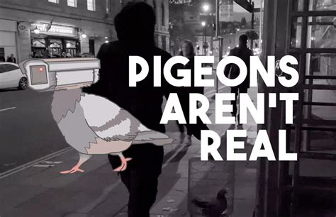 The Birds Work For The Bourgeoisie - Pigeons Aren't Real