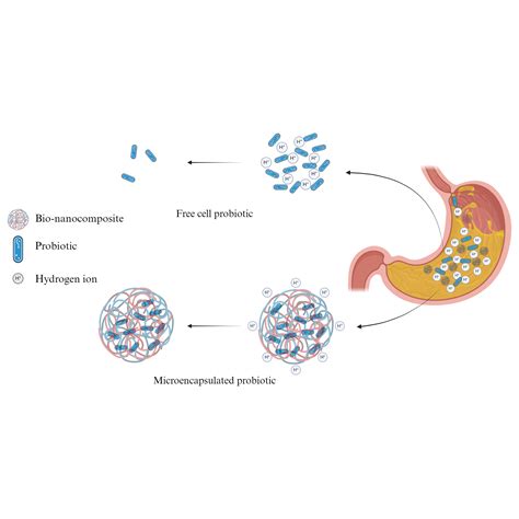 Survival rates of microencapsulated and non-microencapsulated