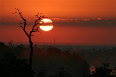 The Sun Is Setting Over Some Trees And Fog In The Air With An Orange