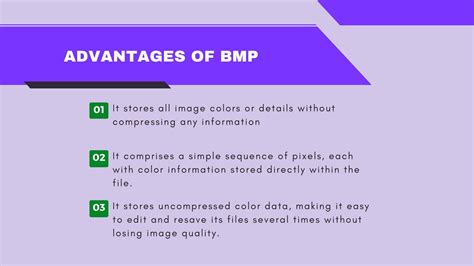 bmp file format history properties  advantages