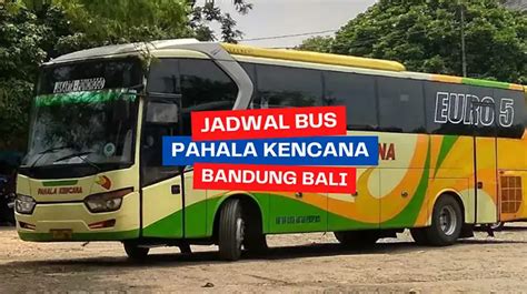 Jadwal Bus Pahala Kencana Bandung Bali Hari Ini