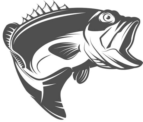 Royalty Free Largemouth Bass Clip Art Vector Images And Illustrations Istock